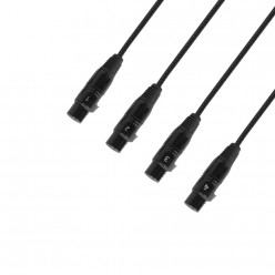 Adam Hall Cables 4 STAR CATBOX XF3 -